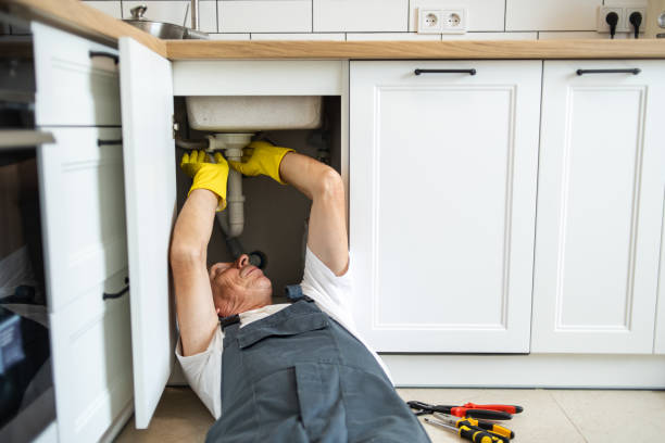Best Local Plumber Services  in Babson Park, FL